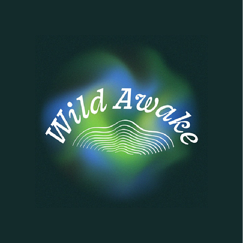 Wild Awake Logo.